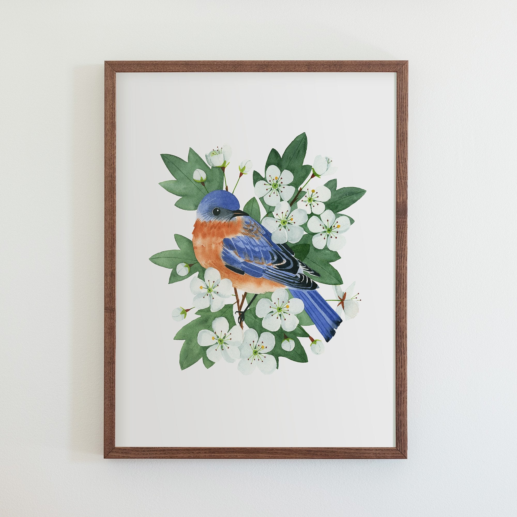 Missouri Eastern Bluebird Print