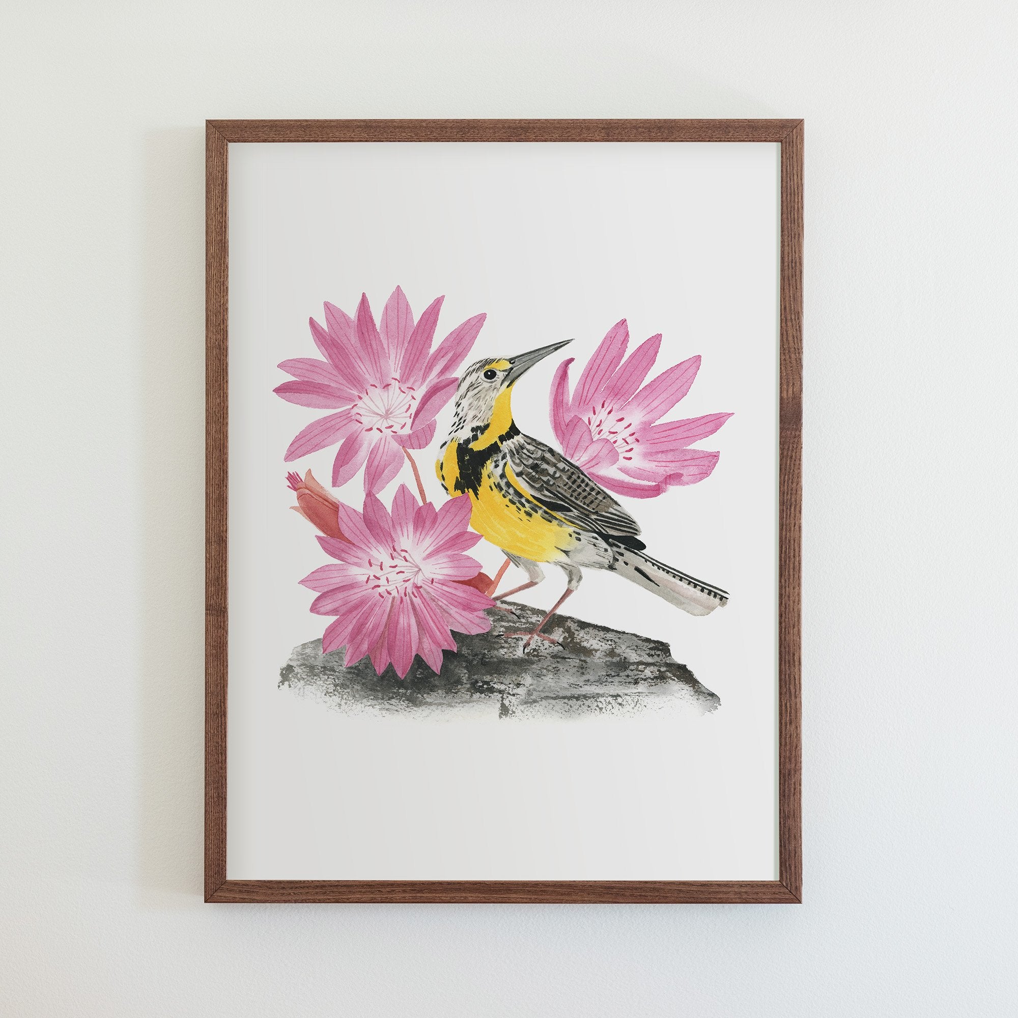 Montana Western Meadowlark Print