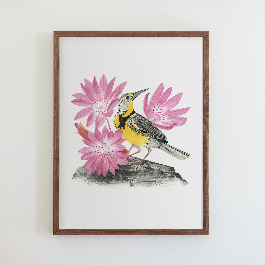 Montana Western Meadowlark Print