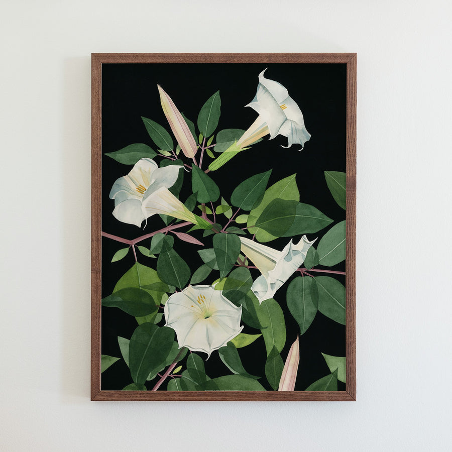 Moonflowers Print