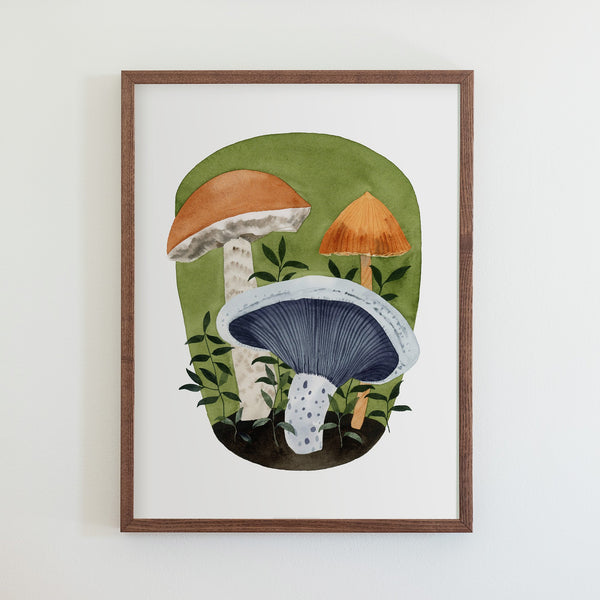 Mushrooms Print - 50 States of Beauty