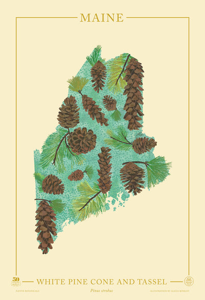 Maine Native Botanicals Print
