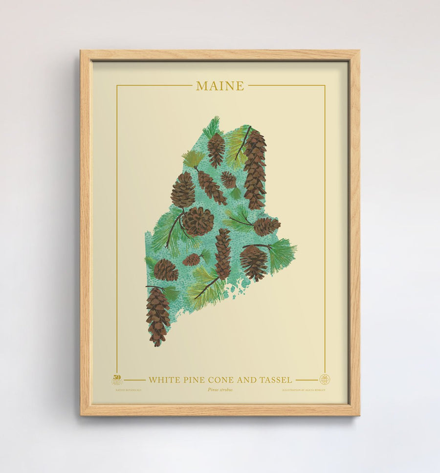 Maine Native Botanicals Print