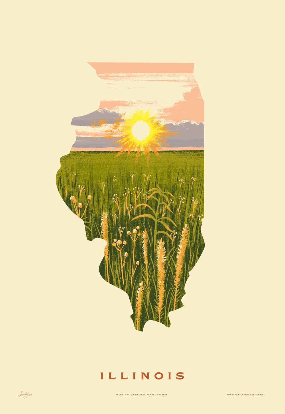 Illinois Print