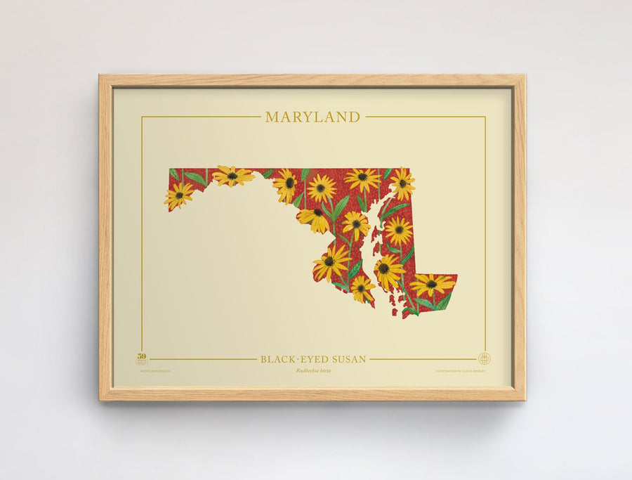 Maryland Native Botanicals Print