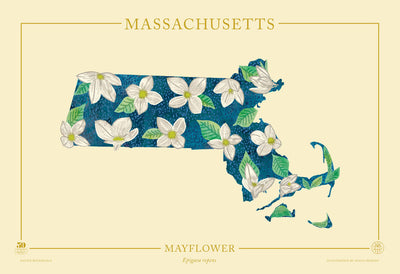 Massachusetts Native Botanicals Print