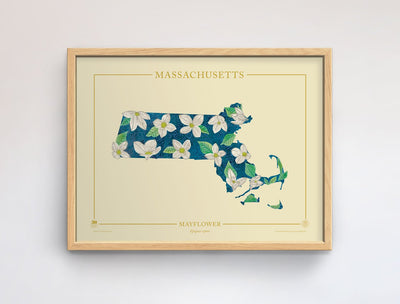 Massachusetts Native Botanicals Print