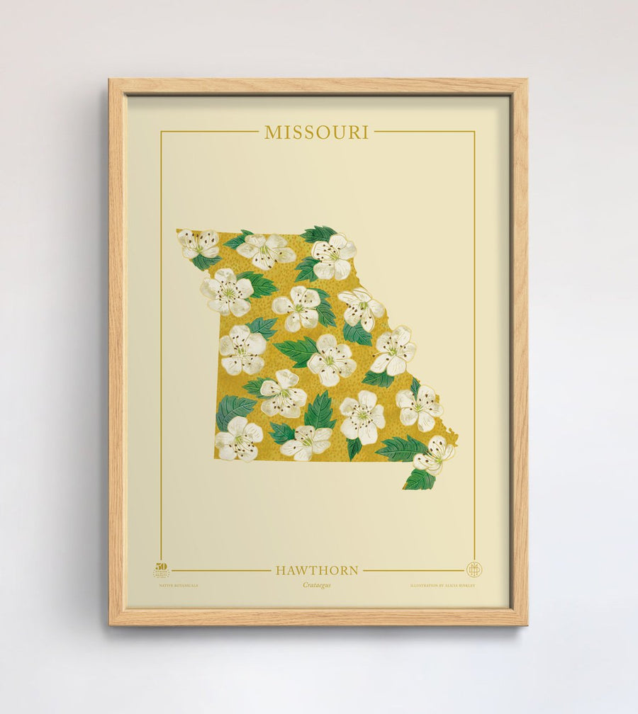 Missouri Native Botanicals Print