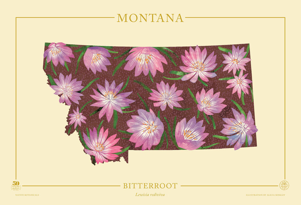 Montana Native Botanicals Print
