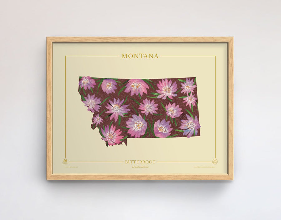 Montana Native Botanicals Print
