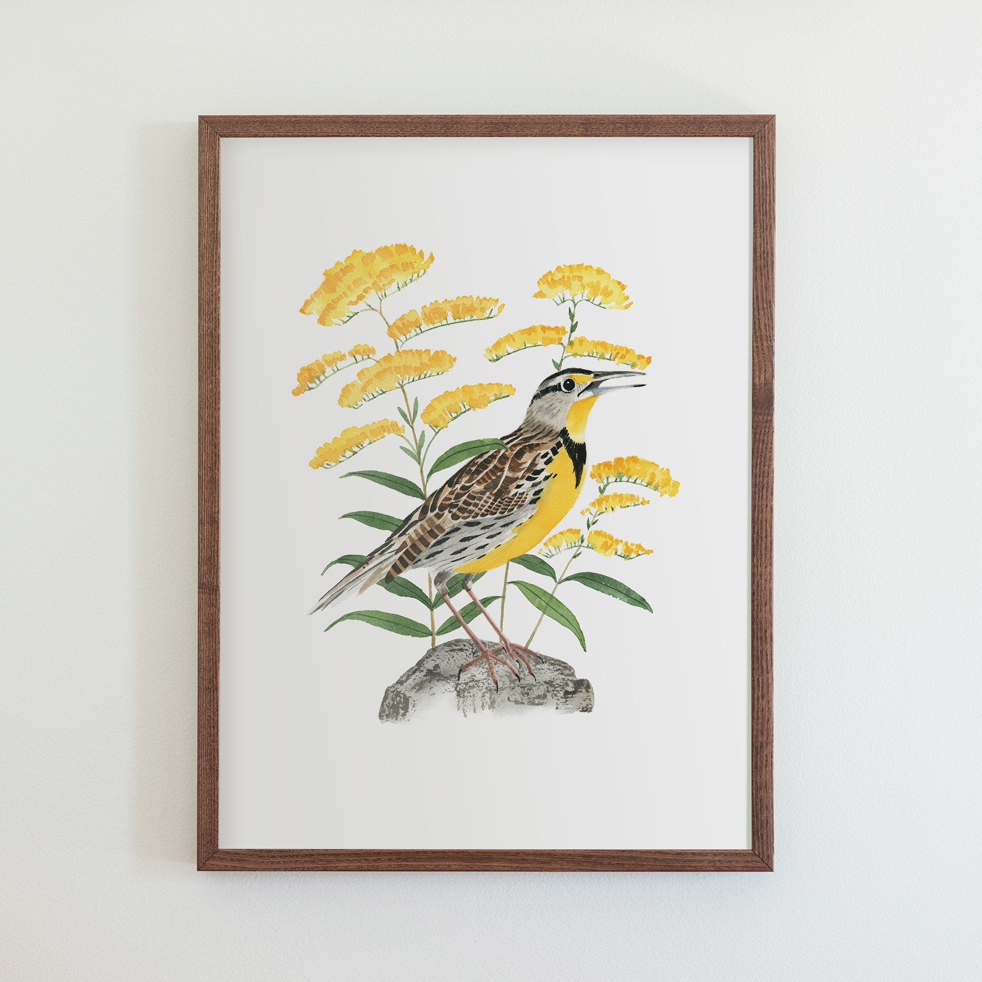 Nebraska Western Meadowlark Print