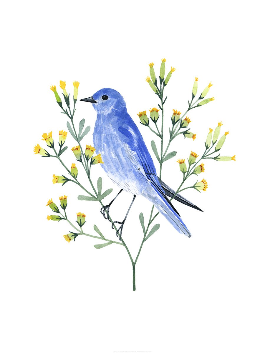Bluebird Colorful Cartoon Style Drawing Illustration Stock Illustration  622542533 | Shutterstock