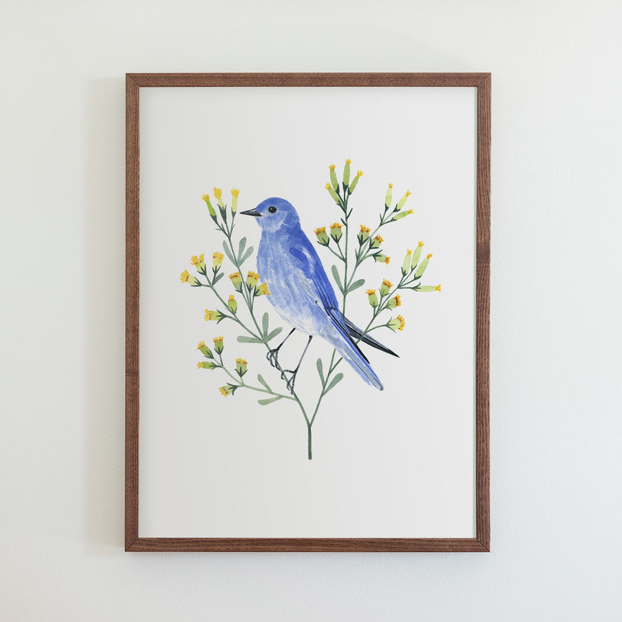 Nevada Mountain Bluebird Print