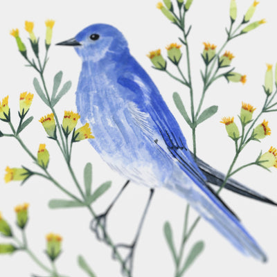 Nevada Mountain Bluebird Print