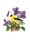 New Jersey Eastern Goldfinch Print