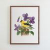 New Jersey Eastern Goldfinch Print