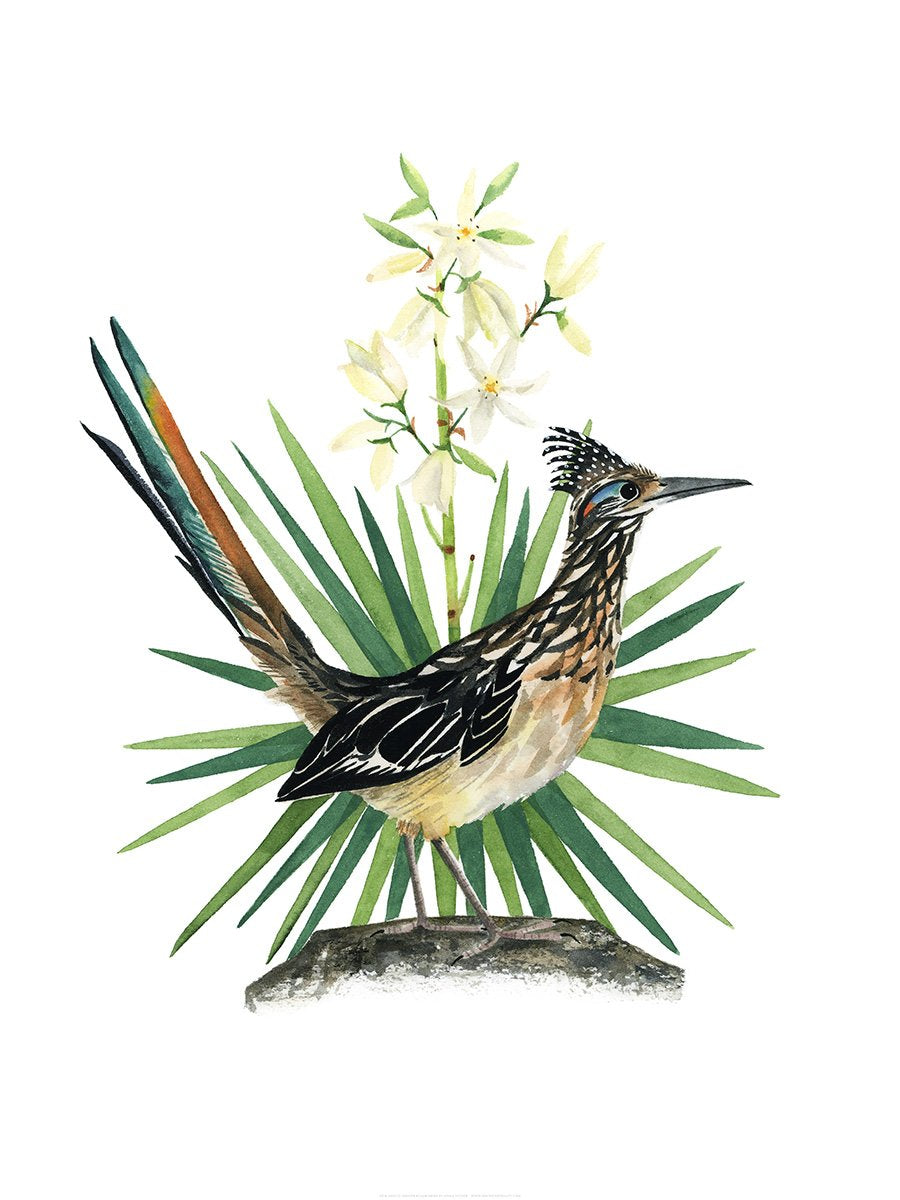 New Mexico Greater Roadrunner Print