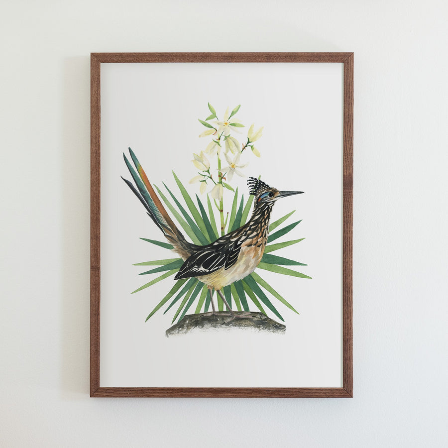 New Mexico Greater Roadrunner Print