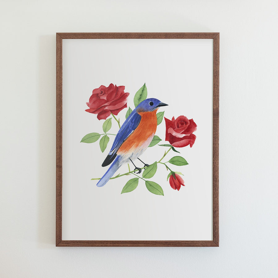 New York Eastern Bluebird Print