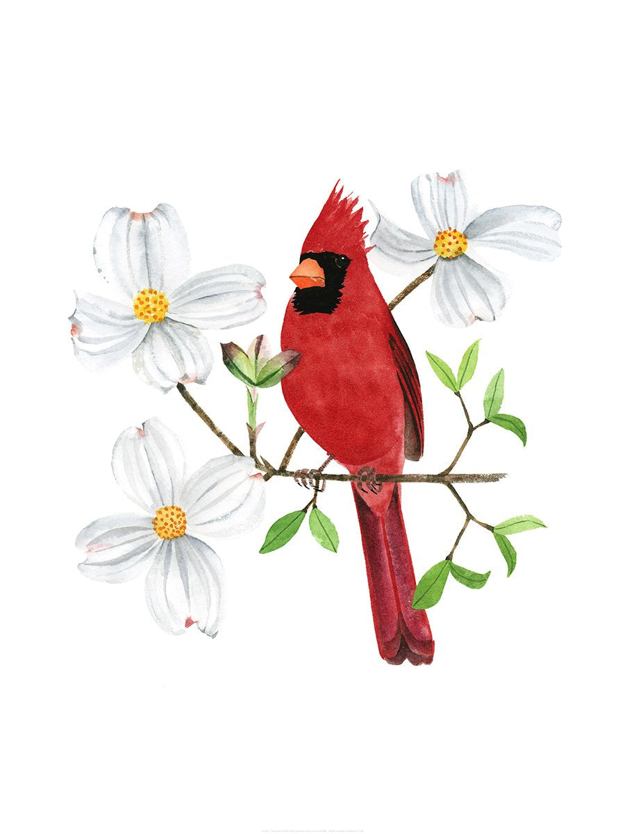 North Carolina Northern Cardinal Print