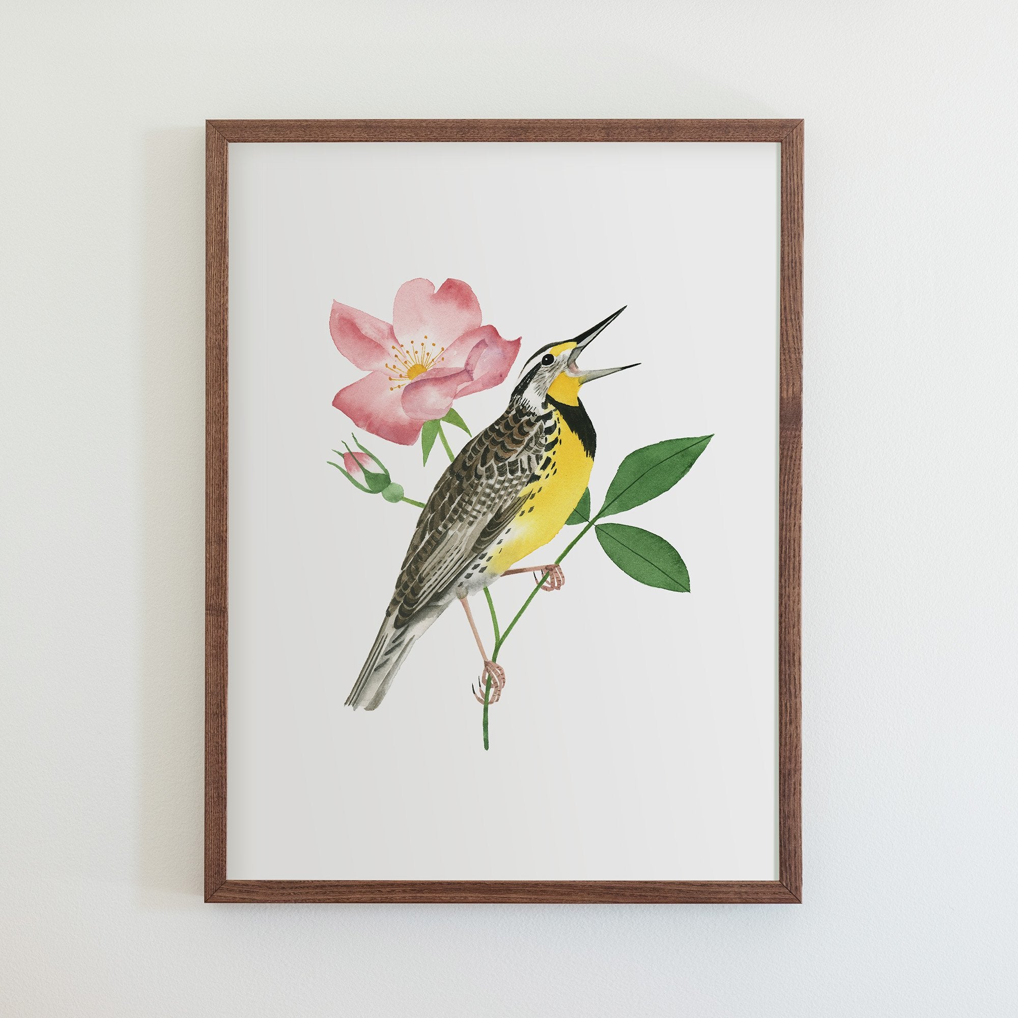 North Dakota Western Meadowlark Print