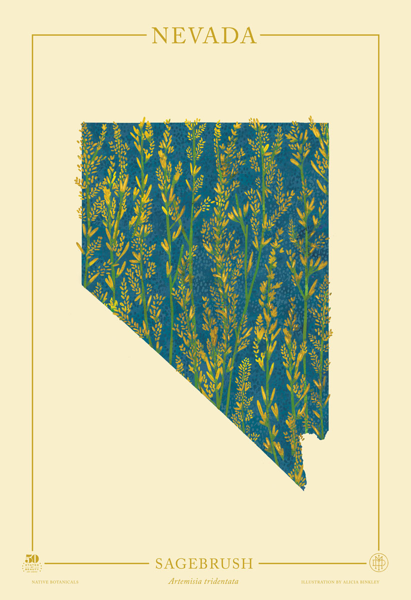 Nevada Native Botanicals Print