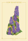 New Hampshire Native Botanicals Print