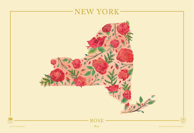New York Native Botanicals Print