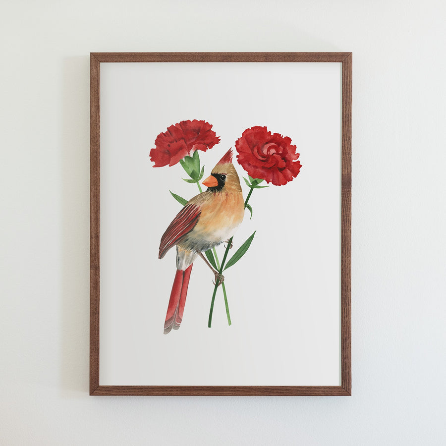 Ohio Northern Cardinal Print
