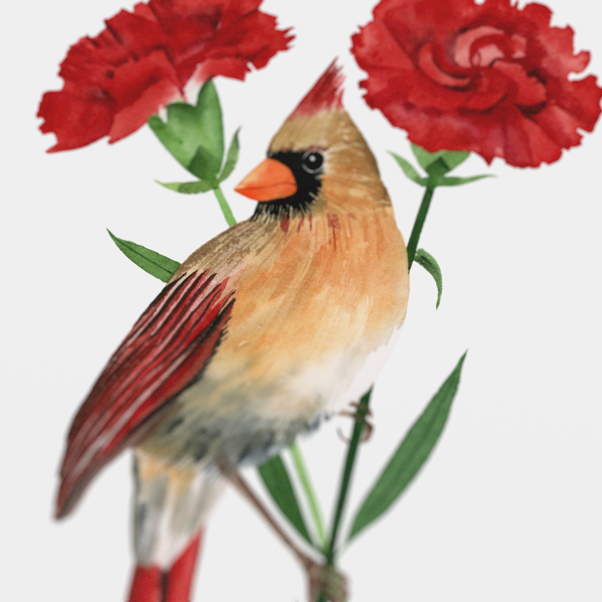 Ohio Northern Cardinal Print