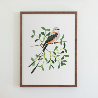 Oklahoma Scissor-Tailed Flycatcher Print