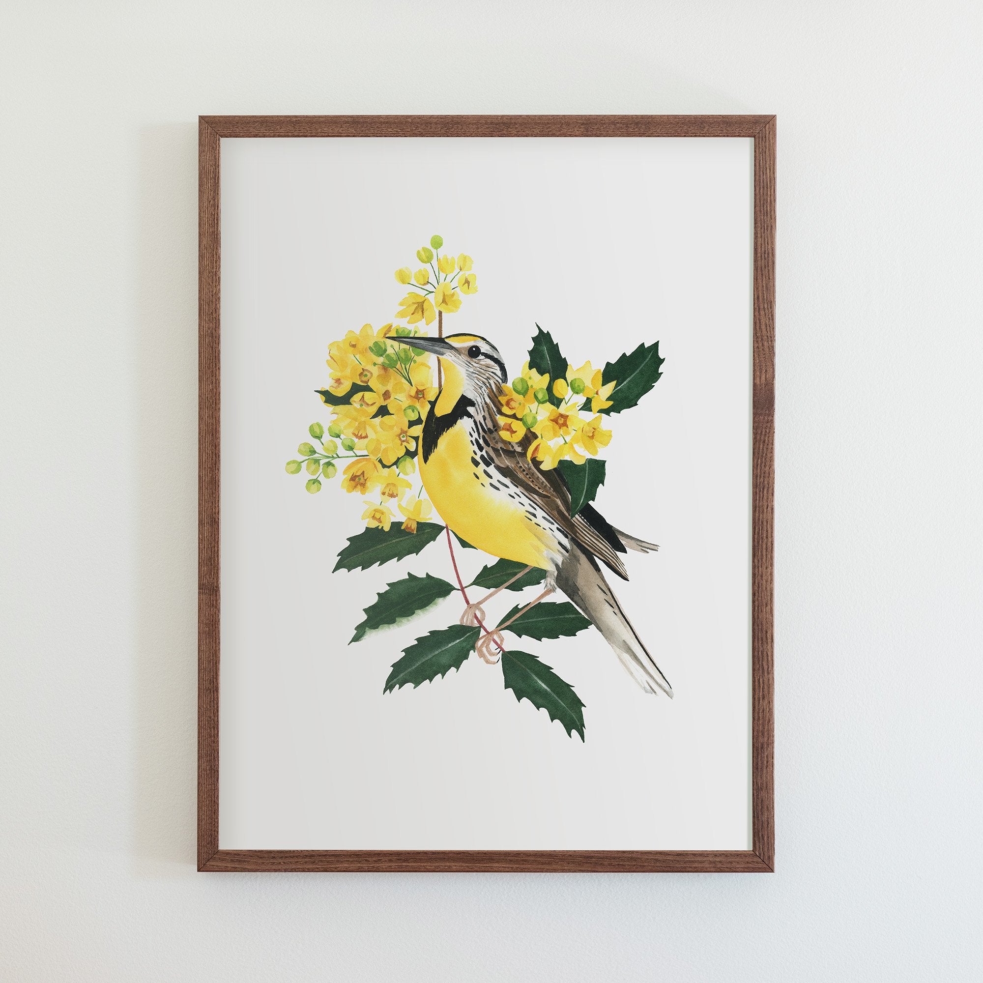 Oregon Western Meadowlark Print