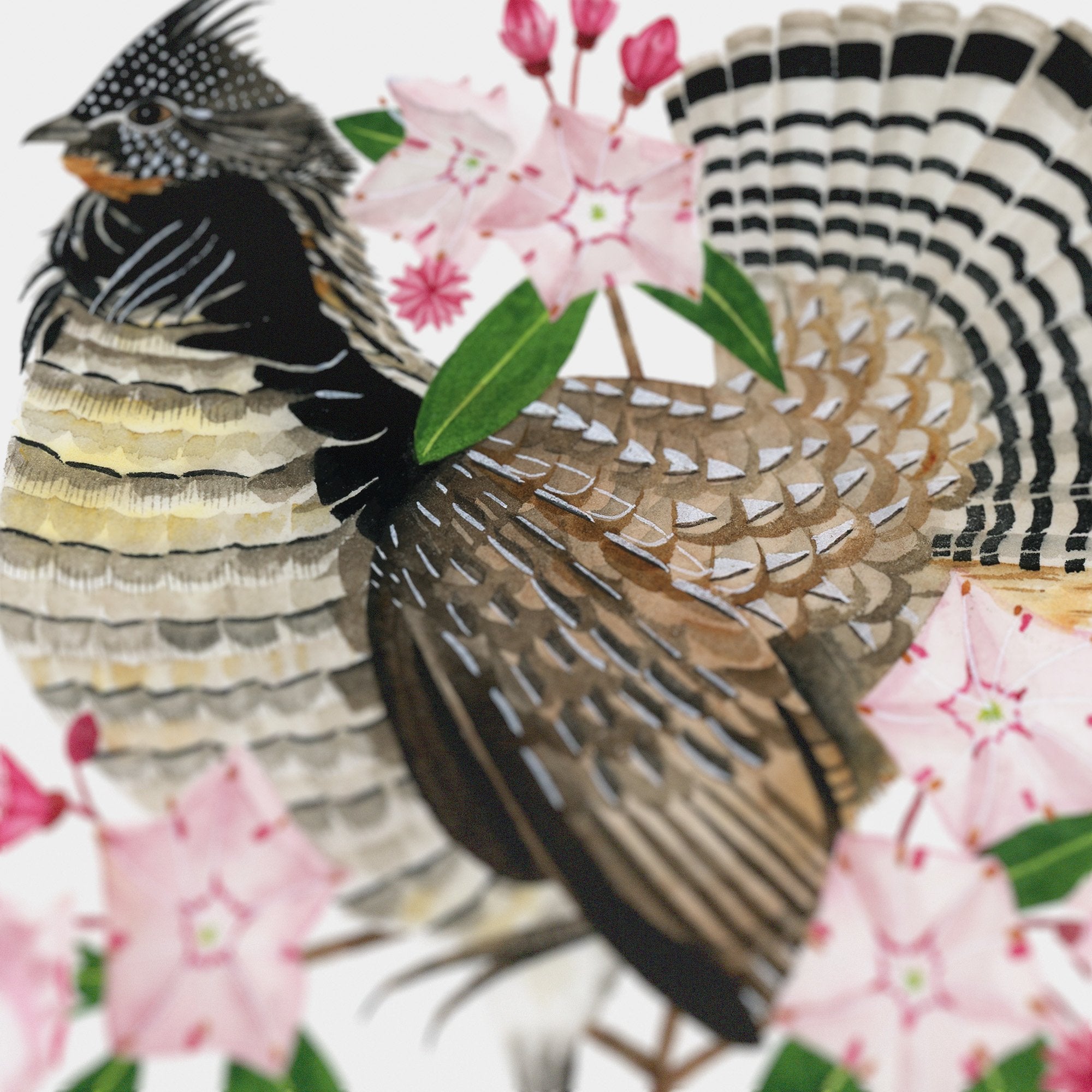 Pennsylvania Ruffed Grouse Print