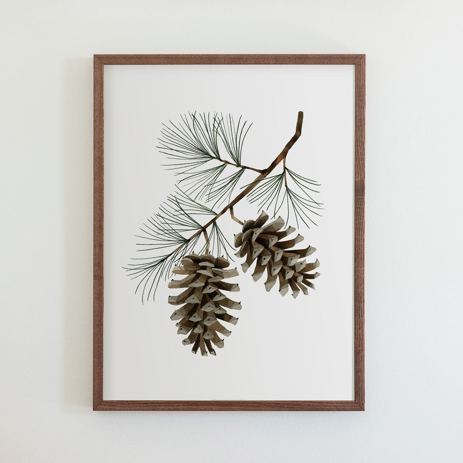 Pinecones Print