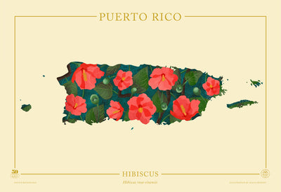 Puerto Rico Native Botanicals Print