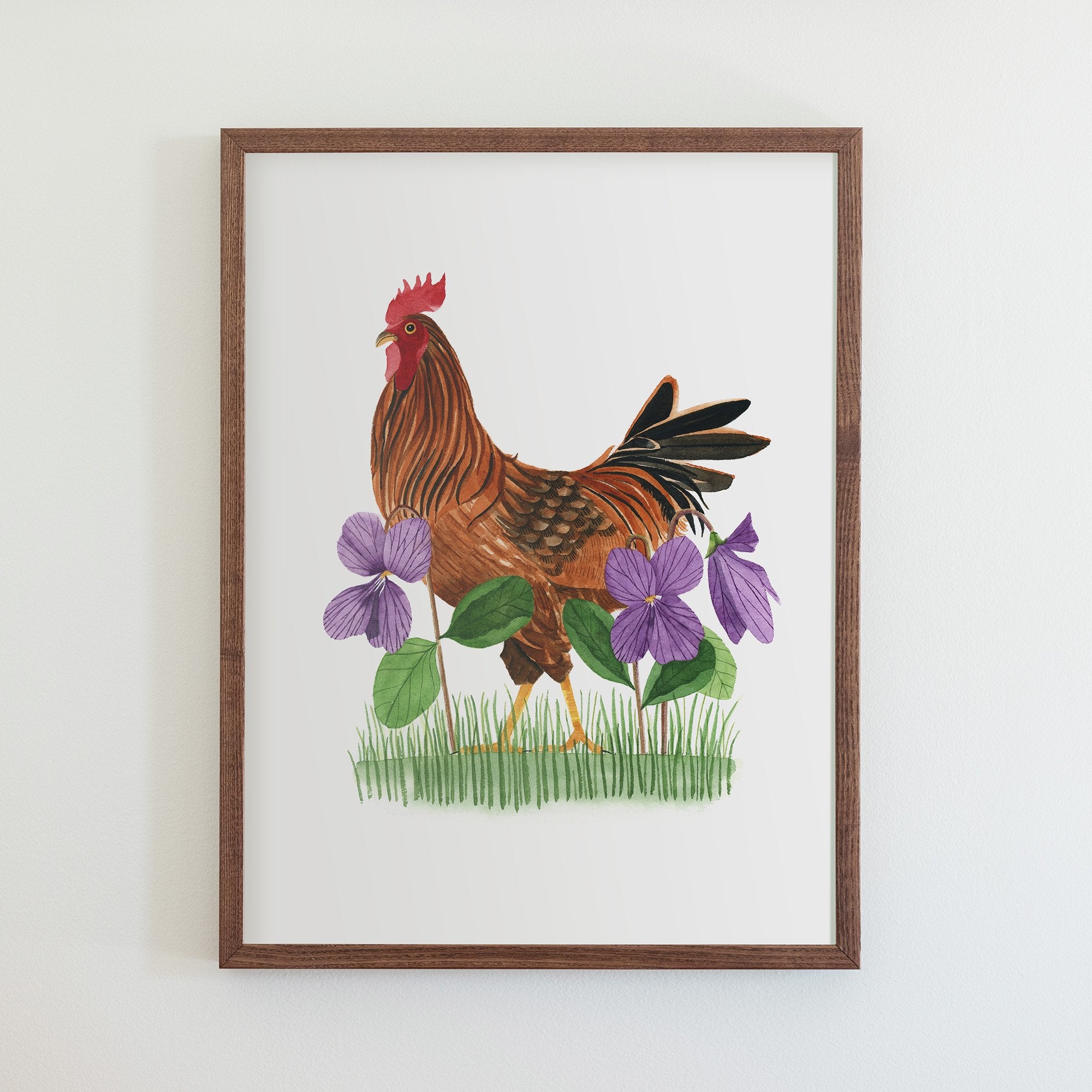 Rhode Island Red Print