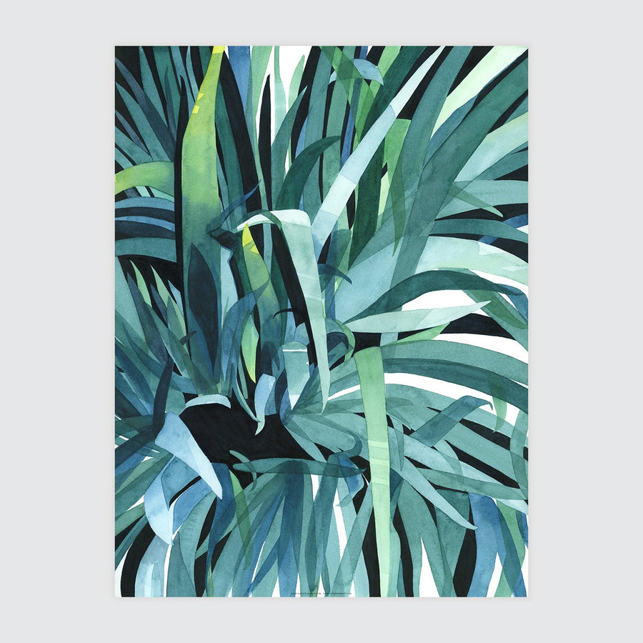 Shade Plants Print