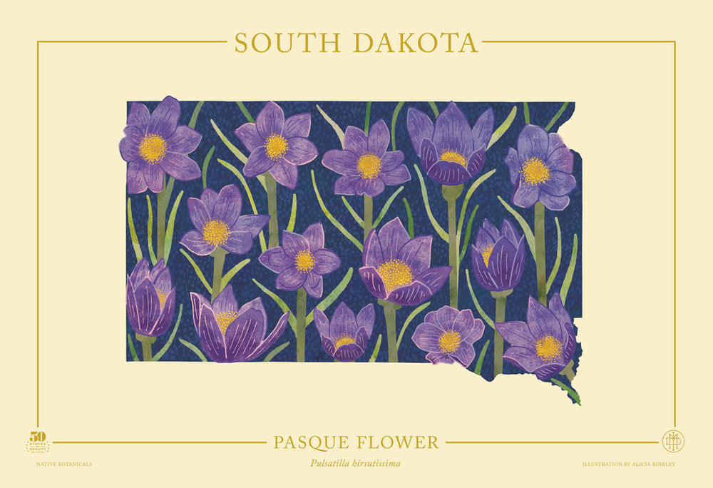 South Dakota Native Botanicals Print