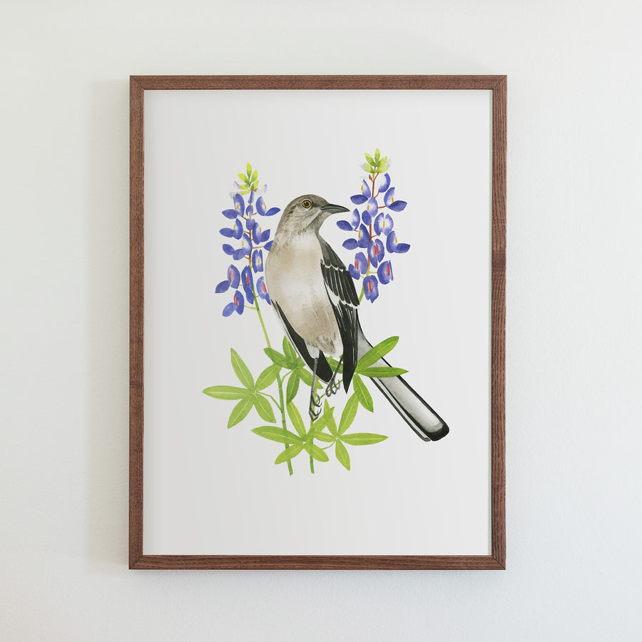 Texas Northern Mockingbird Print