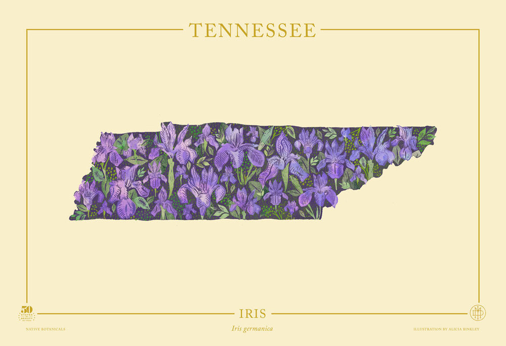 Tennessee Native Botanicals Print