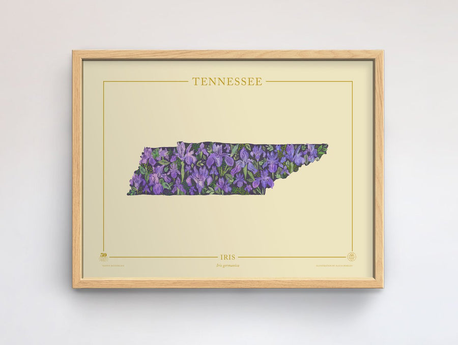 Tennessee Native Botanicals Print