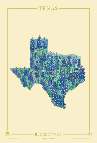 Texas Native Botanicals Print
