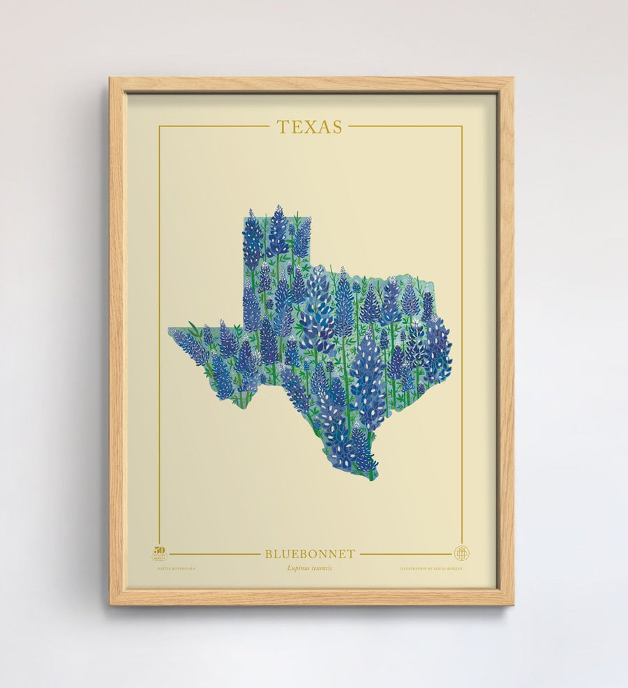 Texas Native Botanicals Print
