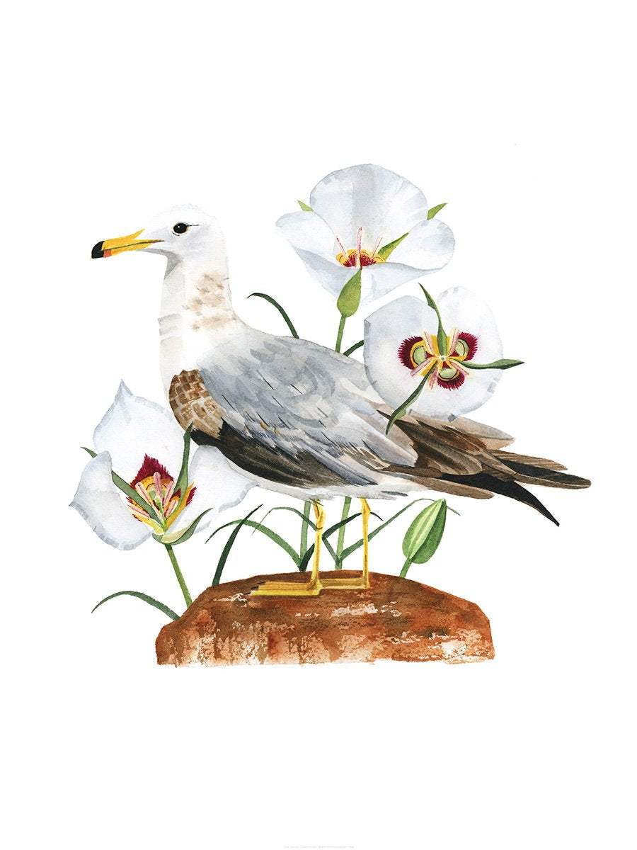 Utah Gull Print