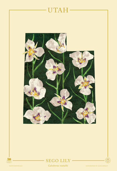 Utah Native Botanicals Print