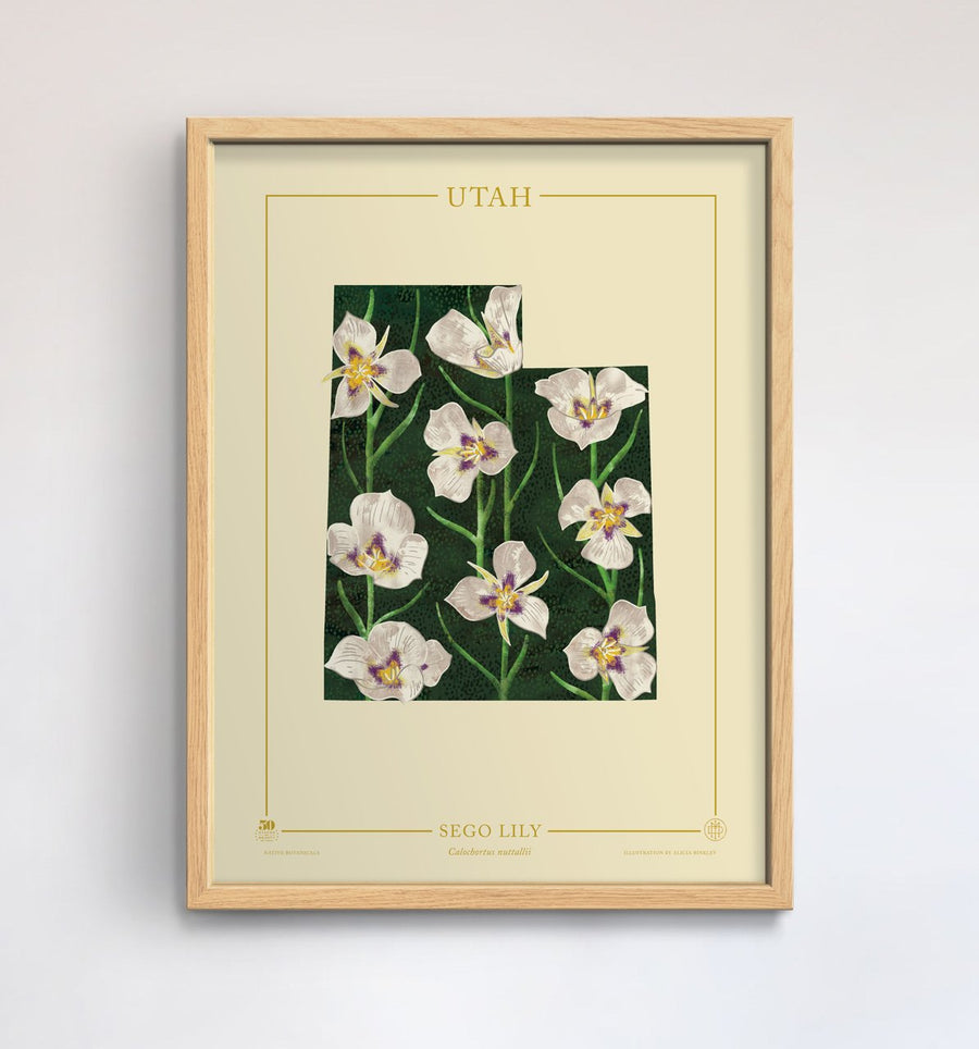 Utah Native Botanicals Print