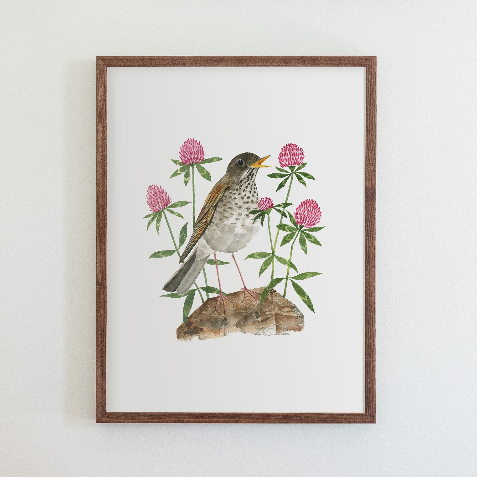 Vermont Hermit Thrush Print