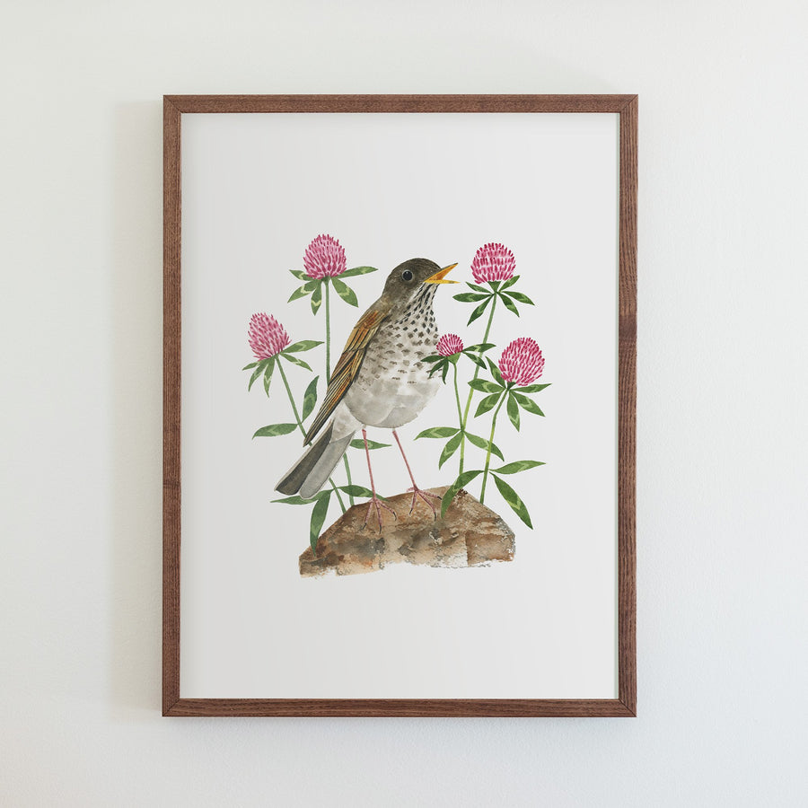 Vermont Hermit Thrush Print