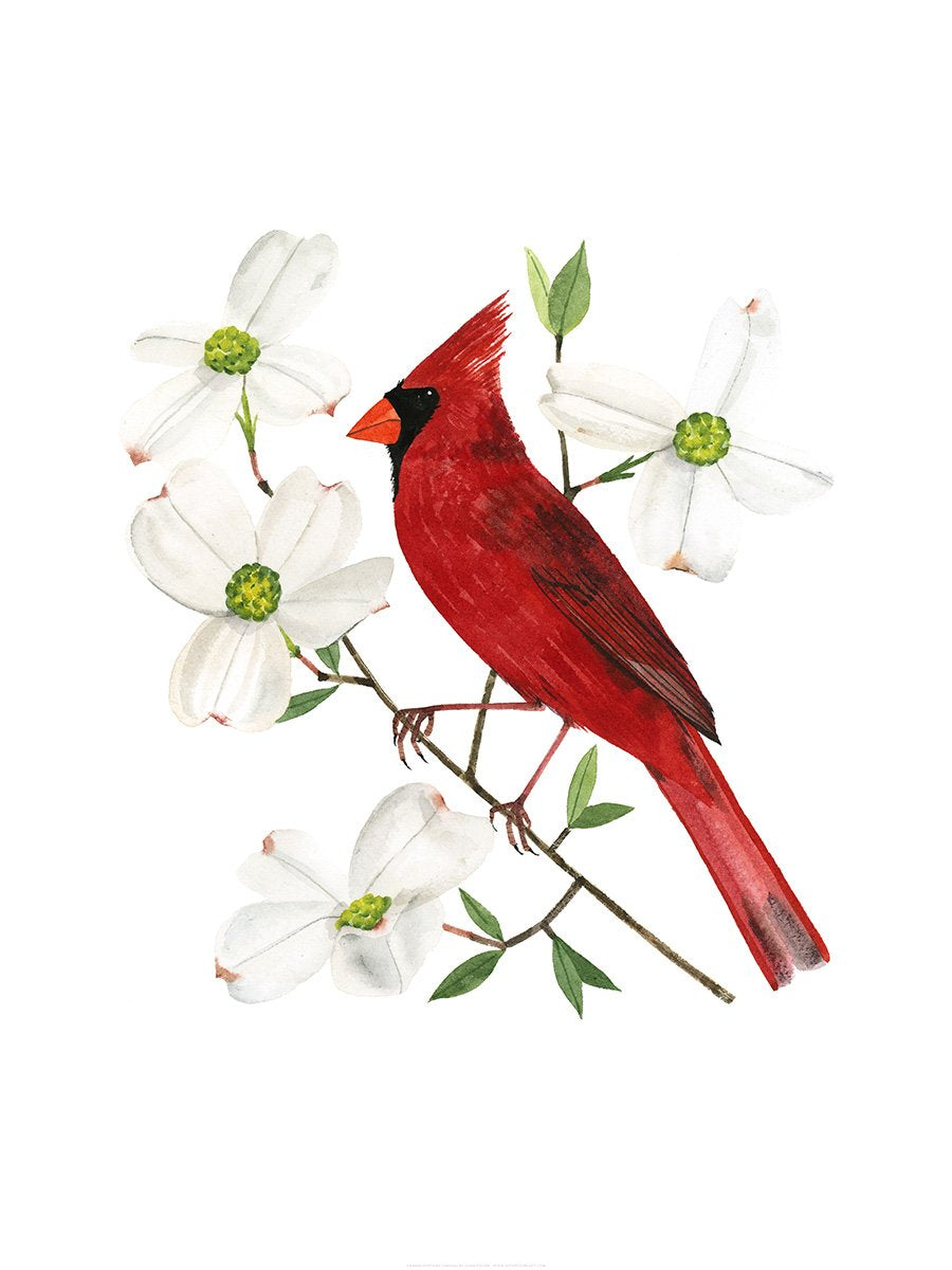 Virginia Northern Cardinal Print
