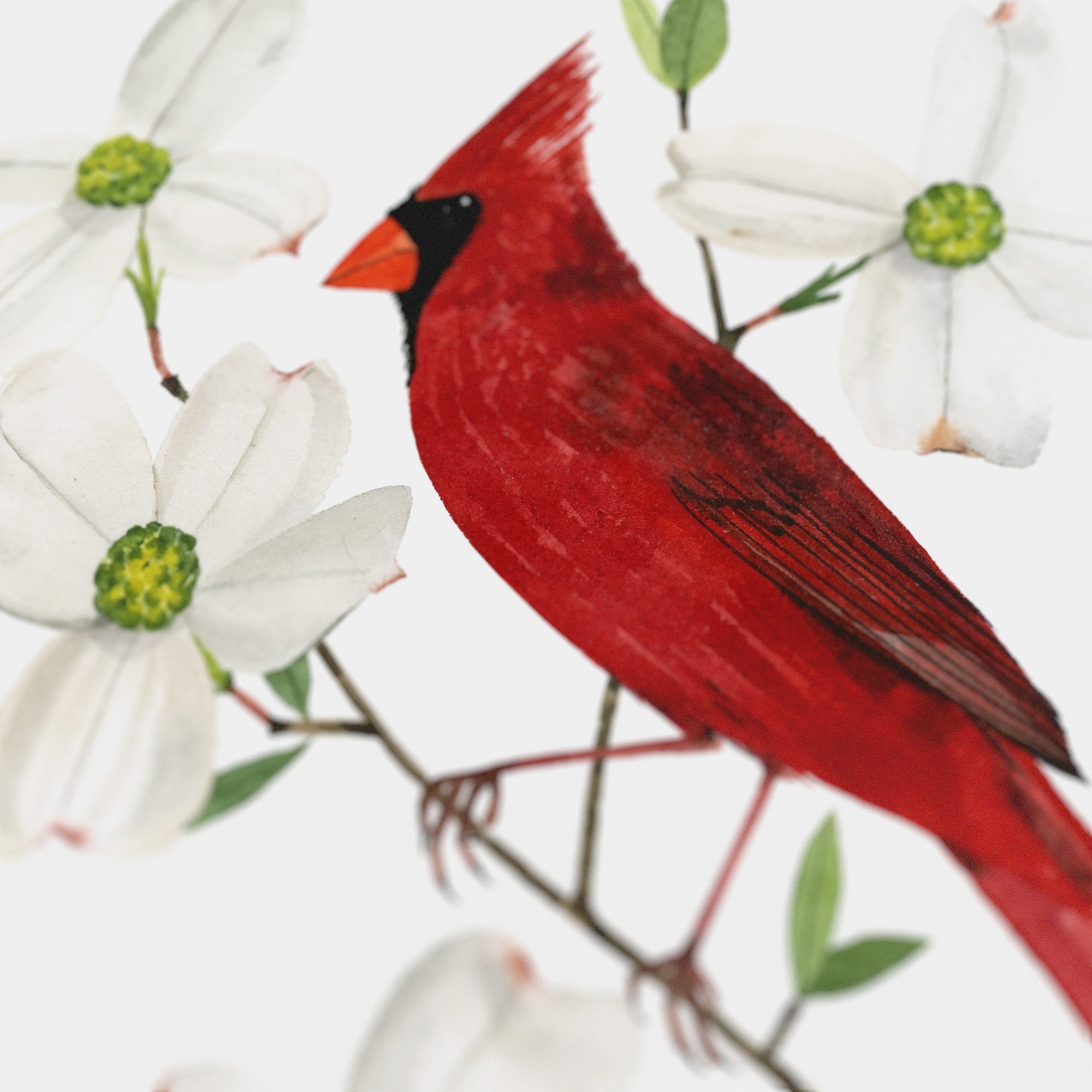 Virginia Northern Cardinal Print